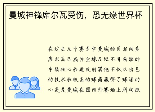 曼城神锋席尔瓦受伤，恐无缘世界杯