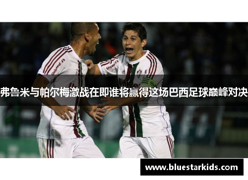 弗鲁米与帕尔梅激战在即谁将赢得这场巴西足球巅峰对决